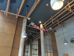 -红辣椒陶氏丝娃娃(南国花锦店)