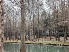 -西溪国家湿地公园