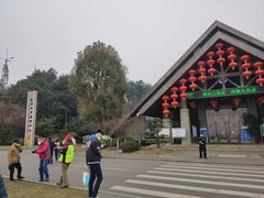 -铁山坪森林公园