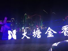 -大塘金香草谷