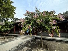 -荣国府