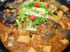 -老板恋上鱼(恒隆广场店)