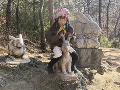 -红螺寺