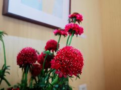 -萤火虫咖啡(后海店)
