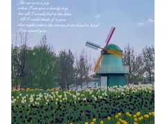 -北京国际鲜花港