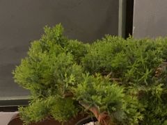 -百富源·海鲜辽菜(和平北大街店)