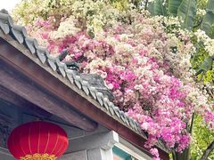 -深圳国际园林花卉博览园