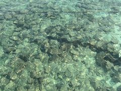 -三亚蜈支洲岛旅游区