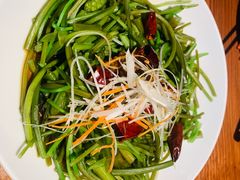 -菌自由丨野生菌火锅特色庭院餐厅(丽江古城店)