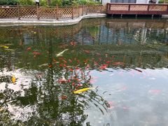 -九尺赵老四鲜鹅肠火锅