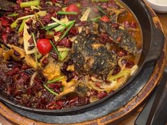 -老板恋上鱼(印象城店)