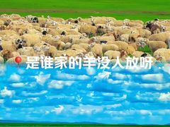 -呼伦贝尔大草原