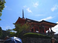 -有栖山 清光院 清水寺