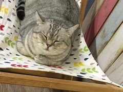 -小时光咖啡馆(开森度假森林店)