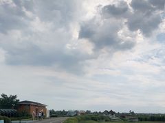 -空港花田景区
