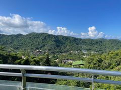 -海南槟榔谷黎苗文化旅游区