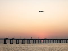 -宝安西湾红树林湿地公园