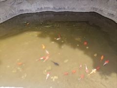 -仙蘑洞