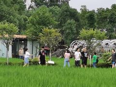-洪湖家庭农场·团建·露营·会议