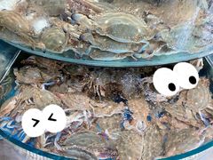 -蓝珊甄选海鲜自助·火锅大排档(近阿那亚店)