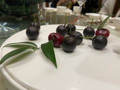 -食神鱼头佛跳墙(百子湾旗舰店)