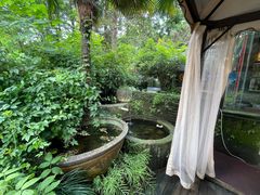 -野蔓果·山野菜(西湖景区·龙井茶田店)