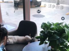 -木沐影咖(鑫乐汇购物广场店)