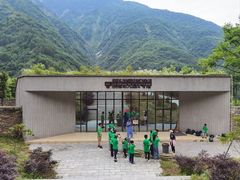 -卧龙中华大熊猫苑神树坪基地