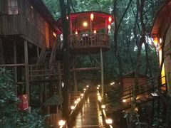 景点-天门沟九州驿站树上汤泉