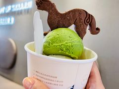 -陕拾叁-西安糕点(大雁塔店)