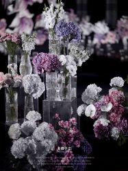 -美薇亭婚礼顾问