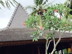 -Rock Bar Bali(Bali)