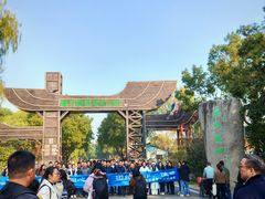 -溱湖国家湿地公园