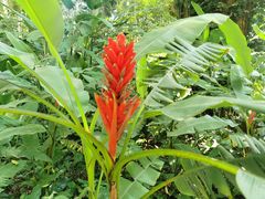 -中国科学院西双版纳热带植物园
