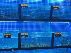 菜单-千岛湖小鱼儿·淳安匠心农家菜