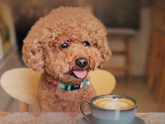 -JPG coffee(广州体育西店)