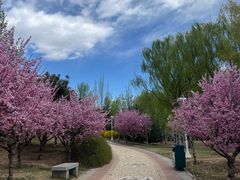 -燕郊植物园