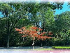 -浙江大学(紫金港校区)