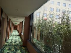 -桔子酒店(成都蜀汉路东地铁站店)