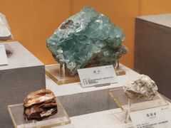 -湖南省地质博物馆