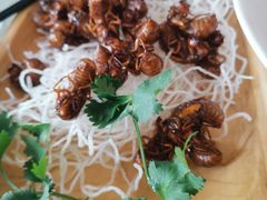 -山东单县风味羊肉汤馆(望园路店)