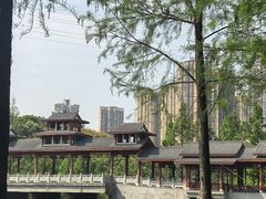 -重庆彩云湖湿地公园