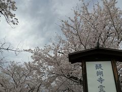-醍醐寺