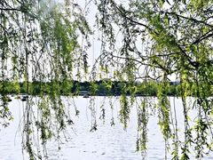 -长春市南湖公园