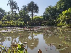 -中国科学院西双版纳热带植物园
