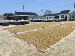 -苏州市吴中区光福窑上花果蜜饯厂