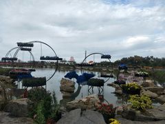 -荷兰花海