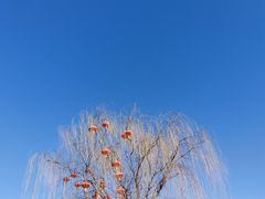 -八大处公园