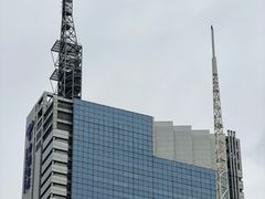 -上海市东方医院(总院)