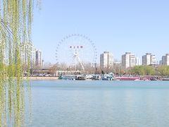 -天津水上公园